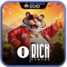 RICH GAMING